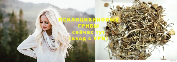 ECSTASY Саяногорск